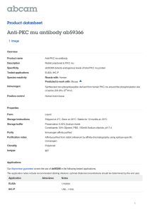 Anti-PKC mu antibody ab59366 Product datasheet 1 Image Overview