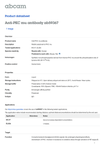 Anti-PKC mu antibody ab59367 Product datasheet 1 Image