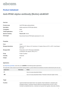 Anti-PPAR alpha antibody (Biotin) ab48369 Product datasheet Overview Product name