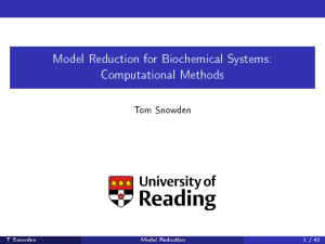 Model Reduction for Biochemical Systems: Computational Methods Tom Snowden T Snowden