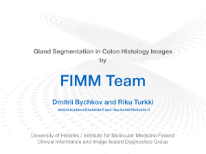FIMM Team Dmitrii Bychkov and Riku Turkki by