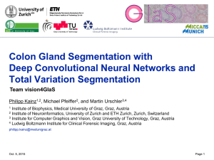 Colon Gland Segmentation with Deep Convolutional Neural Networks and Total Variation Segmentation