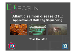 Atlantic salmon disease QTL: Application of RAD Tag Sequencing Ross Houston