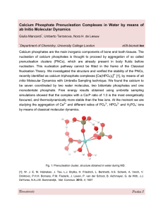 Calcium  Phosphate  Prenucleation  Complexes  in ... ab Initio Molecular Dynamics