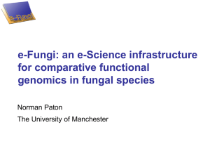 e-Fungi: an e-Science infrastructure for comparative functional genomics in fungal species Norman Paton
