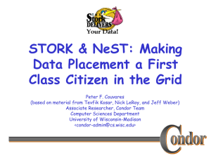STORK &amp; NeST: Making Data Placement a First
