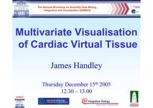 Multivariate Visualisation of Cardiac Virtual Tissue James Handley Thursday December 15