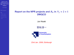 Report on the NPR projects and in DWQCD B