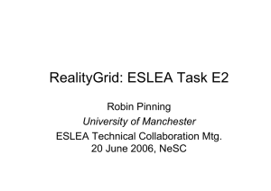 RealityGrid: ESLEA Task E2 Robin Pinning ESLEA Technical Collaboration Mtg.