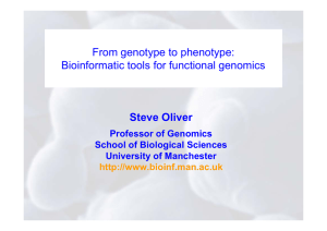 From genotype to phenotype: Bioinformatic tools for functional genomics Steve Oliver