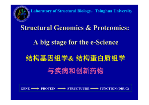 Structural Genomics &amp; Proteomics: A big stage for the e-Science &amp; 与疾病和创新药物