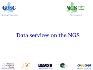 Data services on the NGS