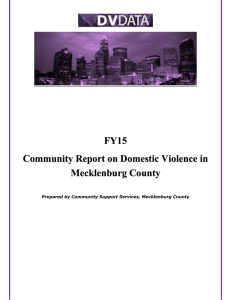 FY15 Community Report on Domestic Violence in Mecklenburg County