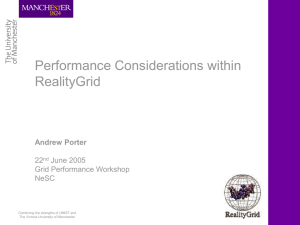 Performance Considerations within RealityGrid Andrew Porter 22