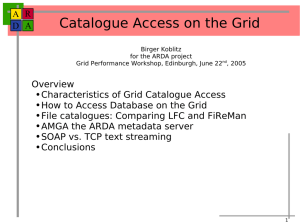 Catalogue Access on the Grid