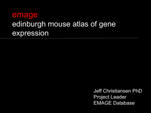 emage edinburgh mouse atlas of gene expression Jeff Christiansen PhD
