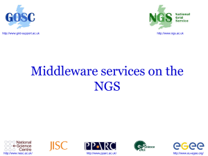 Middleware services on the NGS