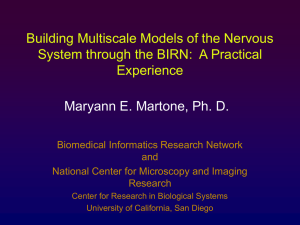 Building Multiscale Models of the Nervous Experience Maryann E. Martone, Ph. D.