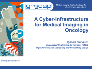 A Cyber-Infrastructure for Medical Imaging in Oncology Ignacio Blanquer