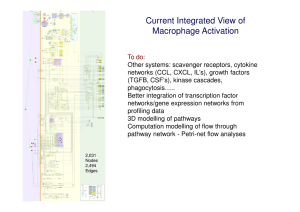 Current Integrated View of Macrophage Activation