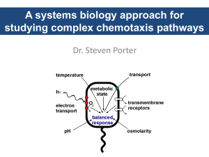 A systems biology approach for studying complex chemotaxis pathways Dr. Steven Porter 2