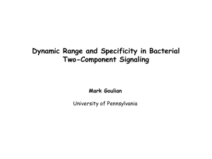 Dynamic Range and Specificity in Bacterial Two-Component Signaling Mark Goulian University of Pennsylvania