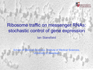Ribosome traffic on messenger RNAs: stochastic control of gene expression Ian Stansfield