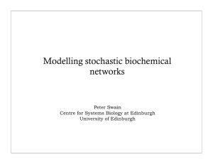 Modelling stochastic biochemical networks Peter Swain Centre for Systems Biology at Edinburgh
