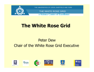 The White Rose Grid Peter Dew e-Science Centre of Excellence