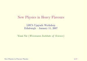 New Physics in Heavy Flavours LHCb Upgrade Workshop