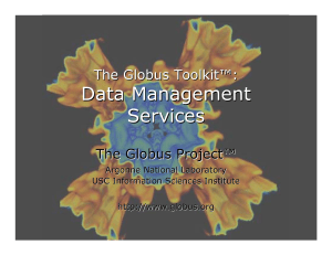 Data Management Services The Globus Toolkit™: The Globus Project™