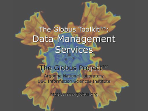 Data Management Services The Globus Toolkit™: The Globus Project™