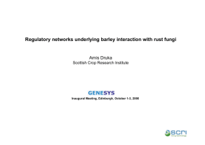 Regulatory networks underlying barley interaction with rust fungi Arnis Druka