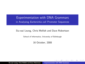 Experimentation with DNA Grammars in Analysing Escherichia coli Promoter Sequences