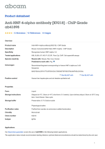 Anti-HNF-4-alpha antibody [K9218] - ChIP Grade ab41898
