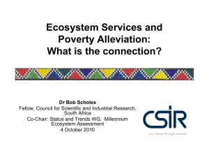 Ecosystem Services and Poverty Alleviation: What is the connection?