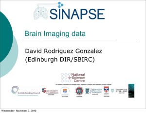 Brain Imaging data David Rodriguez Gonzalez (Edinburgh DIR/SBIRC) Wednesday, November 3, 2010