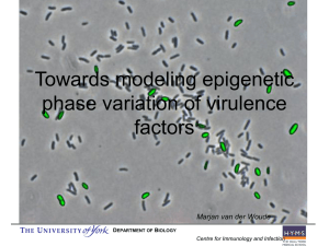 Towards modeling epigenetic phase variation of virulence factors Marjan van der Woude
