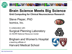 Brain Science Meets Big Science Steve Pieper, PhD Surgical Planning Laboratory