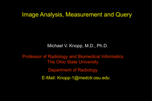 Image Analysis, Measurement and Query Michael V. Knopp, M.D., Ph.D. E-Mail:
