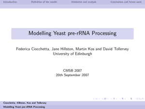 Modelling Yeast pre-rRNA Processing University of Edinburgh CMSB 2007