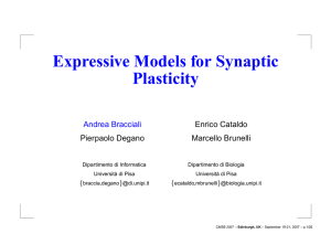 Expressive Models for Synaptic Plasticity Andrea Bracciali Enrico Cataldo