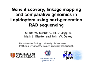 Gene discovery, linkage mapping and comparative genomics in Lepidoptera using next-generation RAD sequencing