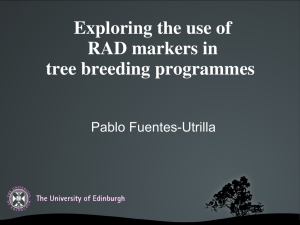 Exploring the use of RAD markers in tree breeding programmes  Pablo Fuentes-Utrilla