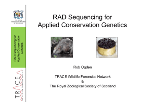 RAD Sequencing for Applied Conservation Genetics Rob Ogden TRACE Wildlife Forensics Network