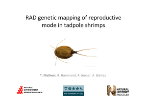 RAD genetic mapping of reproductive  mode in tadpole shrimps T. Mathers www.BioLib.ze
