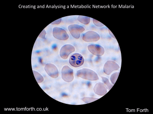 Creating and Analysing a Metabolic Network for Malaria www.tomforth.co.uk Tom Forth