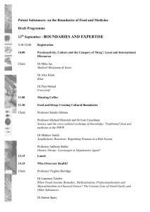 BOUNDARIES AND EXPERTISE Draft Programme 13