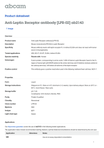 Anti-Leptin Receptor antibody [LPR-02] ab2143 Product datasheet 1 Image Overview