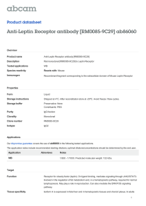 Anti-Leptin Receptor antibody [RM0085-9C29] ab86060